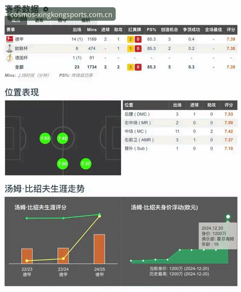星空体育赛事数据功能详解——从技术角度评测数据获取效率